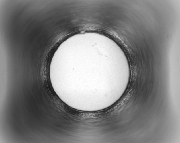 X0000095681211200802051244