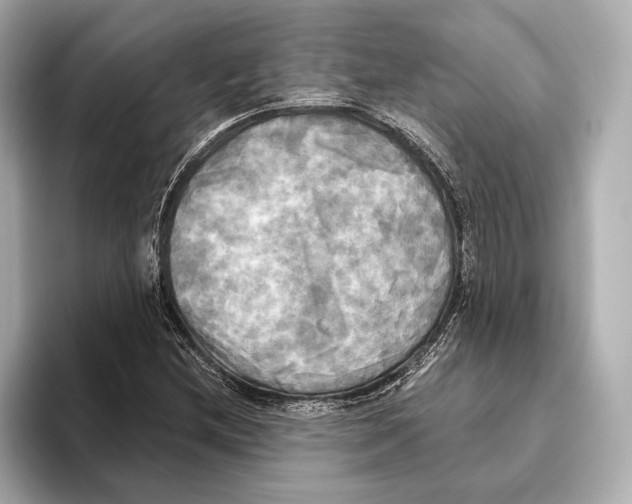 X0000095681212200802051244