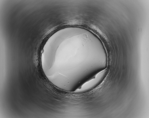 X0000095681213200802051244