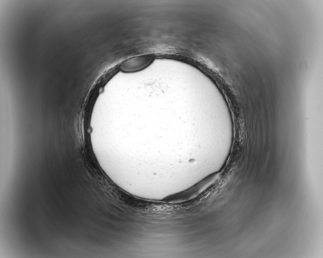 X0000095681214200802051244