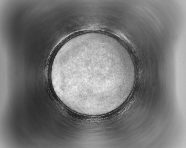 X0000095681216200802051244