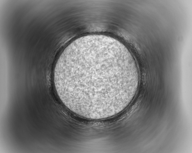 X0000095681217200802051244