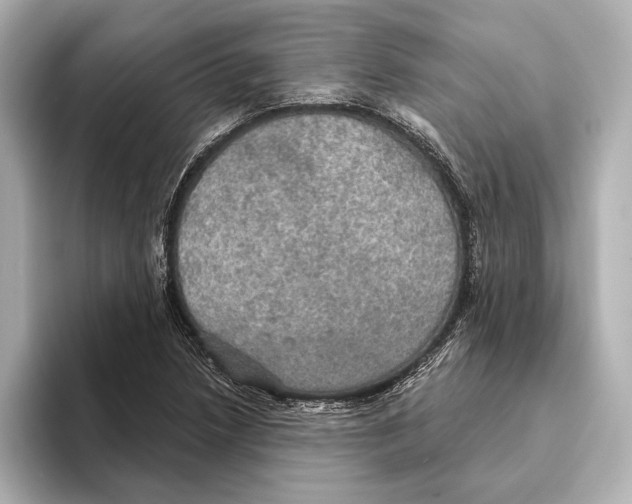 X0000095681218200802051244