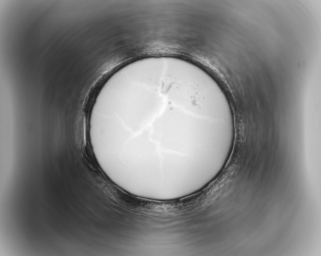 X0000095681219200802051244