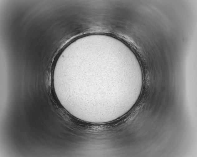 X0000095681220200802051244