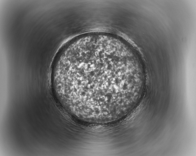 X0000095681222200802051244