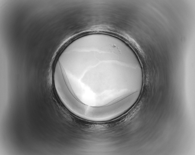 X0000095681224200802051244