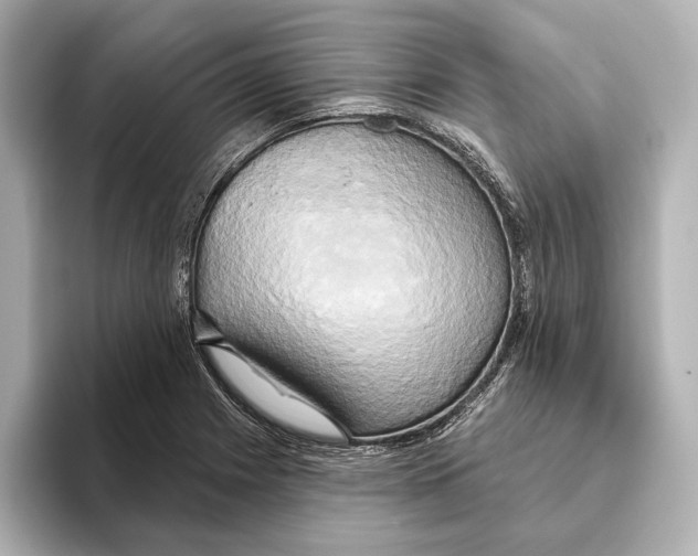 X0000095681225200802051244