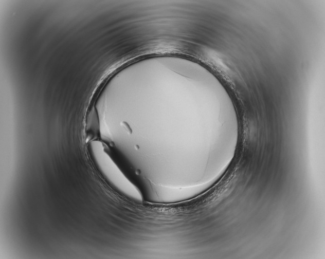 X0000095681226200802051244