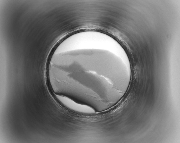 X0000095681229200802051244