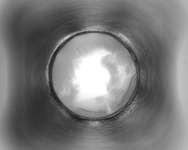 X0000095681230200802051244