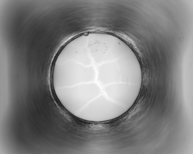 X0000095681231200802051244