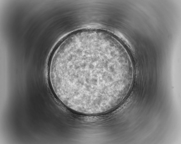 X0000095681232200802051244