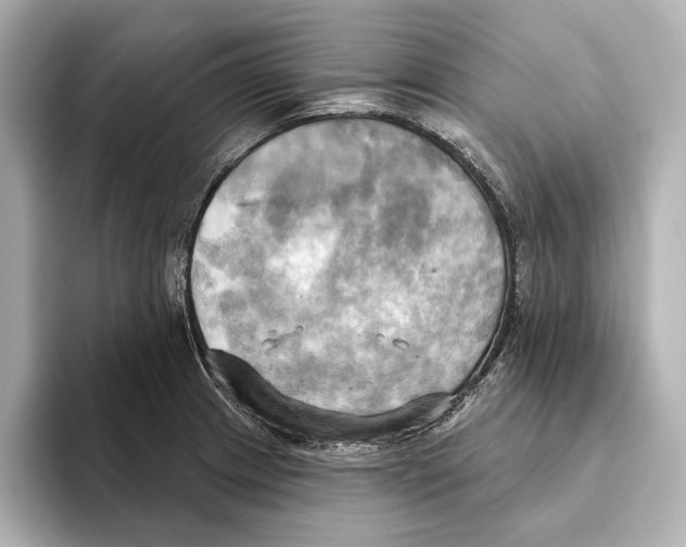 X0000095681233200802051244