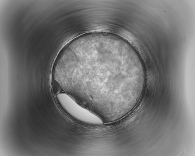 X0000095681234200802051244