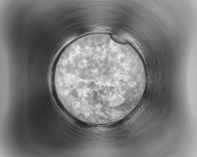 X0000095681235200802051244