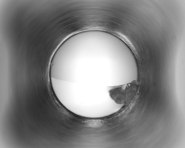 X0000095681236200802051244