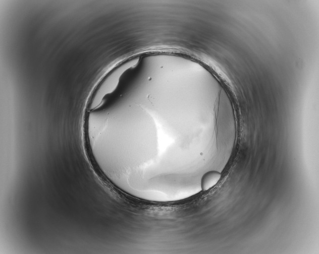 X0000095681237200802051244