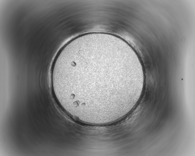 X0000095681238200802051244