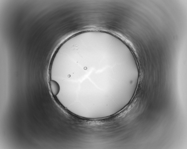 X0000095681239200802051244