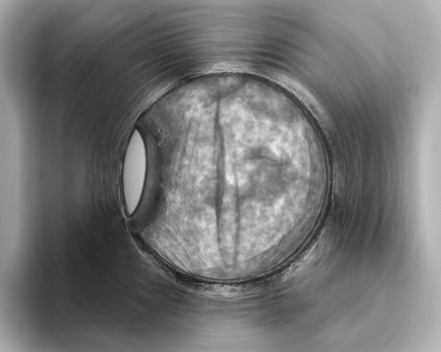 X0000095681241200802051244