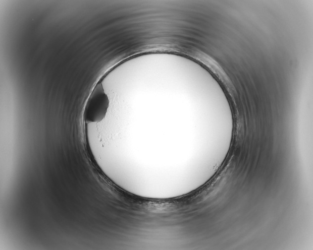 X0000095681242200802051244