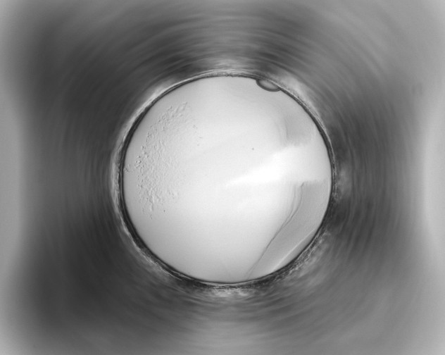 X0000095681243200802051244