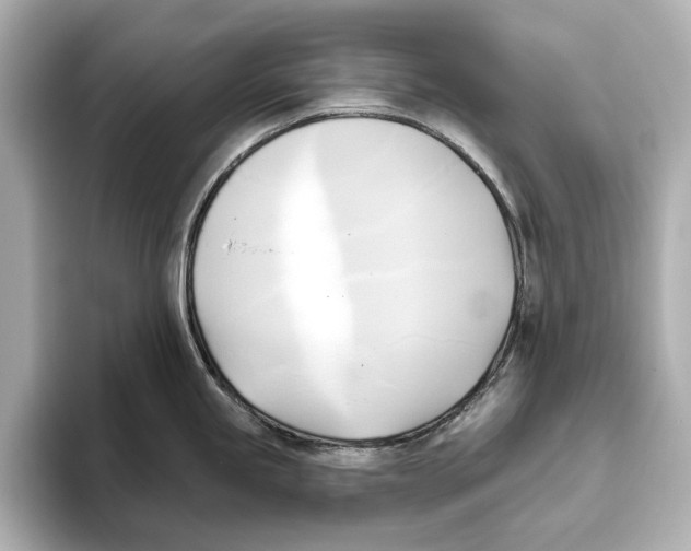 X0000095681245200802051244