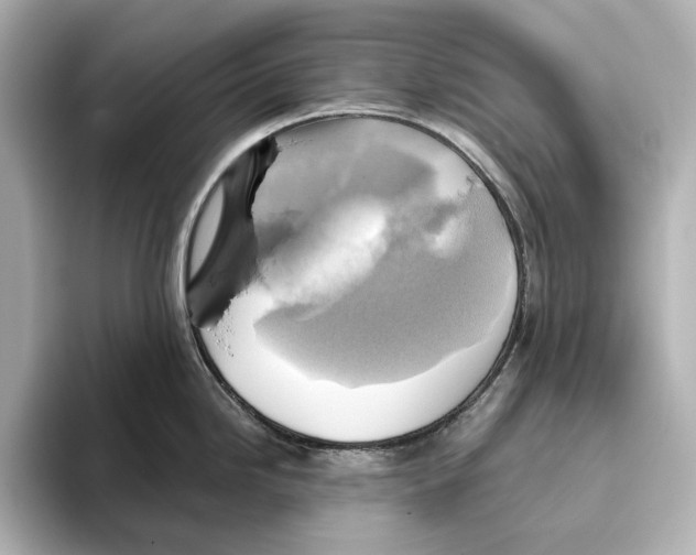 X0000095681246200802051244