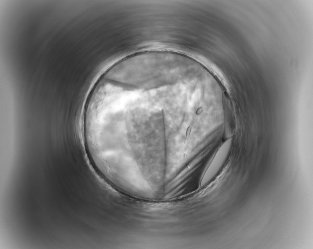 X0000095681247200802051244