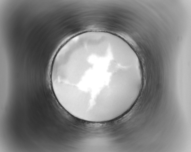 X0000095681248200802051244