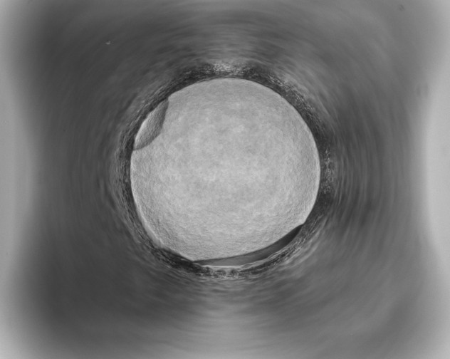 X0000095681249200802051244