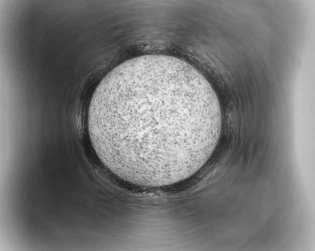 X0000095681250200802051244