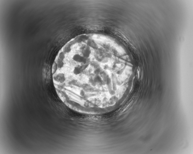 X0000095681251200802051244