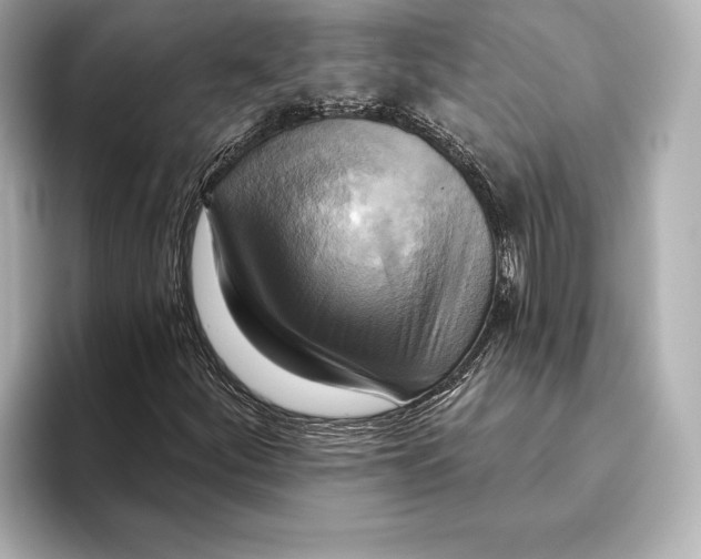 X0000095681252200802051244