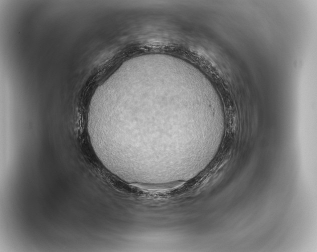 X0000095681253200802051244