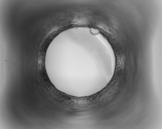 X0000095681254200802051244