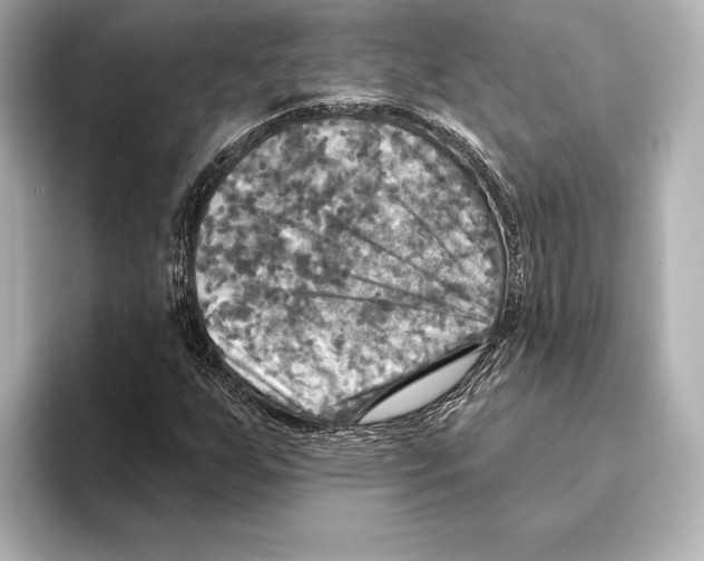 X0000095681255200802051244