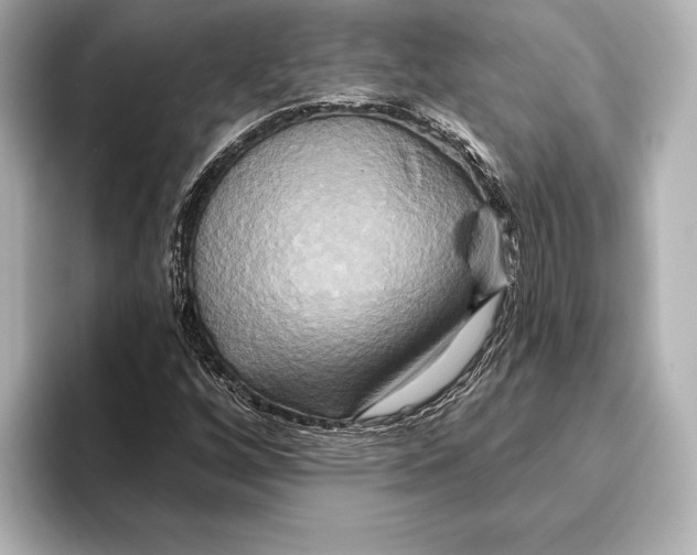 X0000095681256200802051244