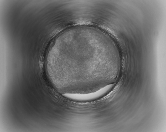 X0000095681257200802051244