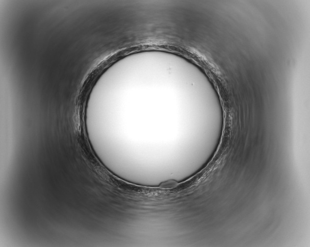 X0000095681262200802051244