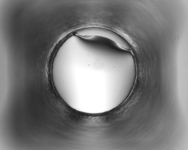 X0000095681264200802051244