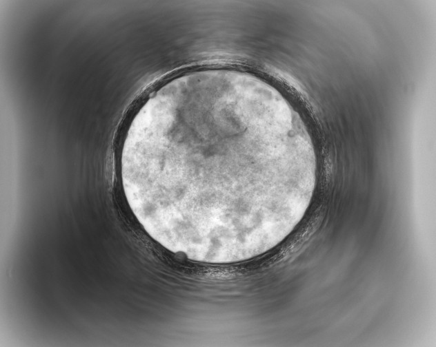 X0000095681267200802051244