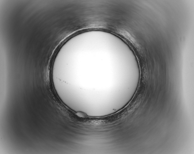 X0000095681268200802051244