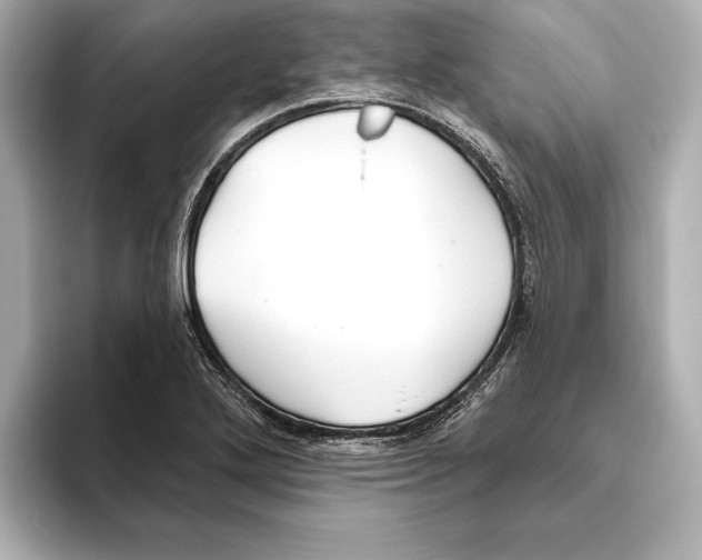 X0000095681272200802051244