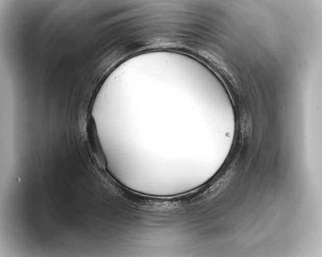 X0000095681273200802051243