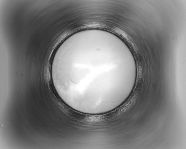 X0000095681274200802051243