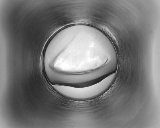 X0000095681276200802051243