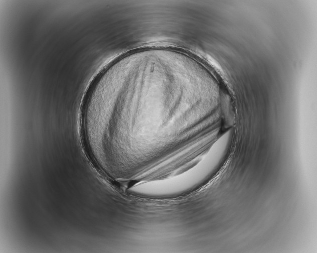 X0000095681277200802051243