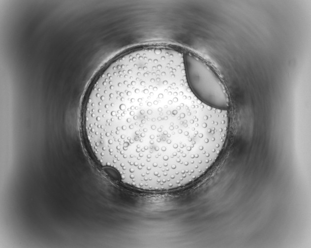 X0000095681279200802051243